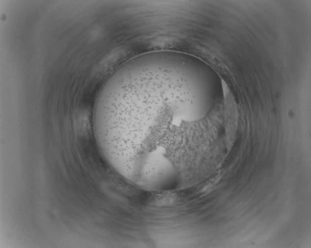 X0000069360127200605192108