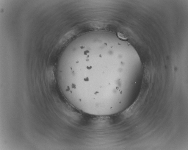 X0000069360128200605192108