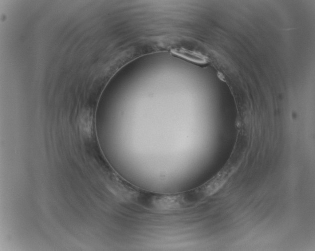 X0000069360129200605192108