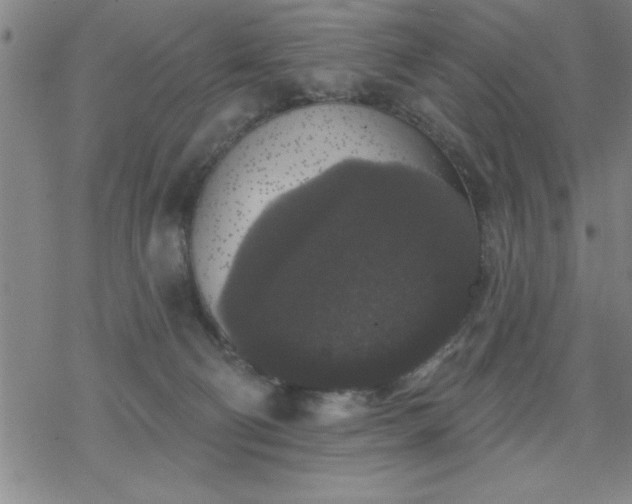 X0000069360130200605192108