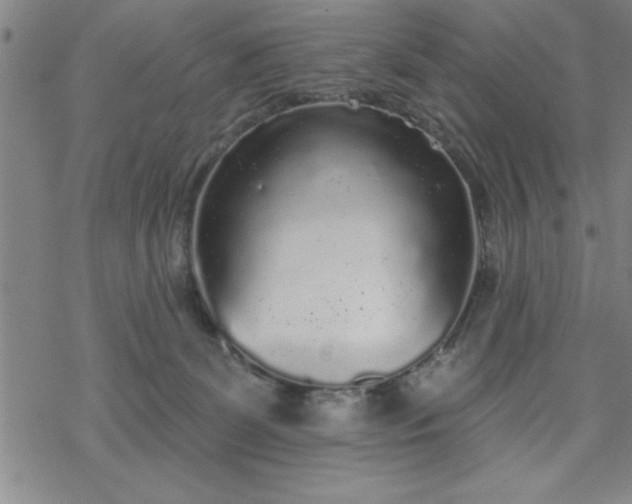 X0000069360131200605192108