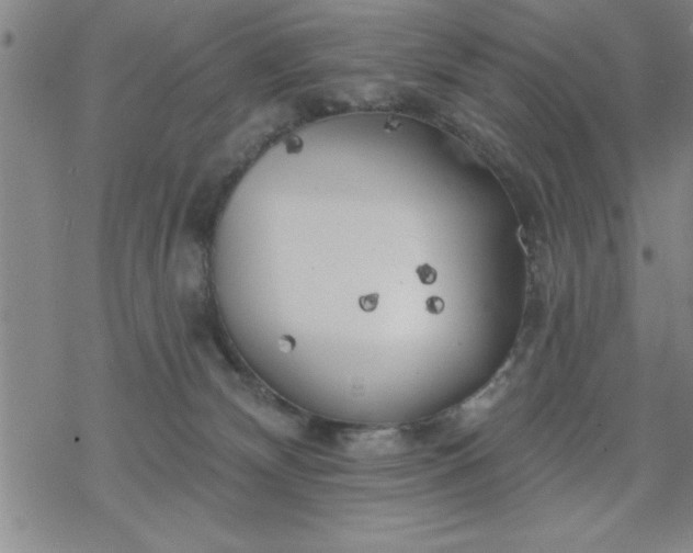 X0000069360132200605192108