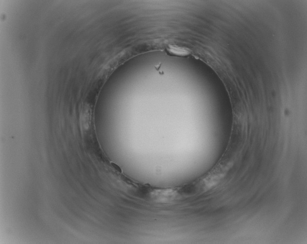 X0000069360133200605192108