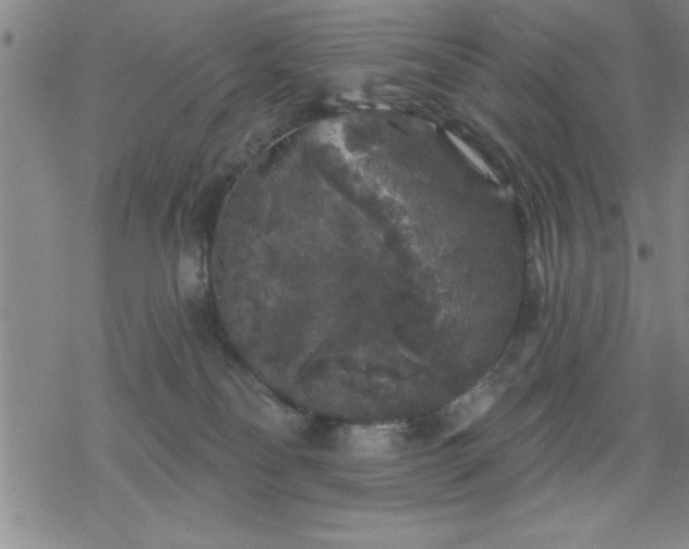 X0000069360134200605192108