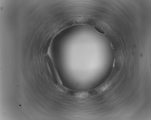 X0000069360135200605192108