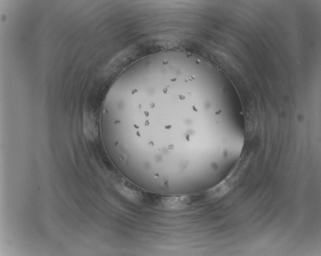 X0000069360136200605192108