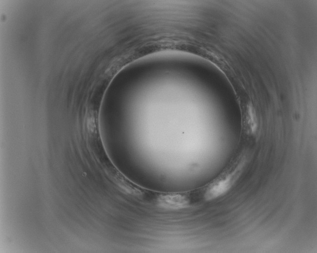 X0000069360137200605192108