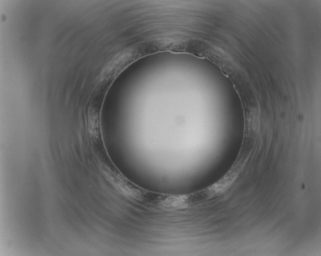 X0000069360138200605192108