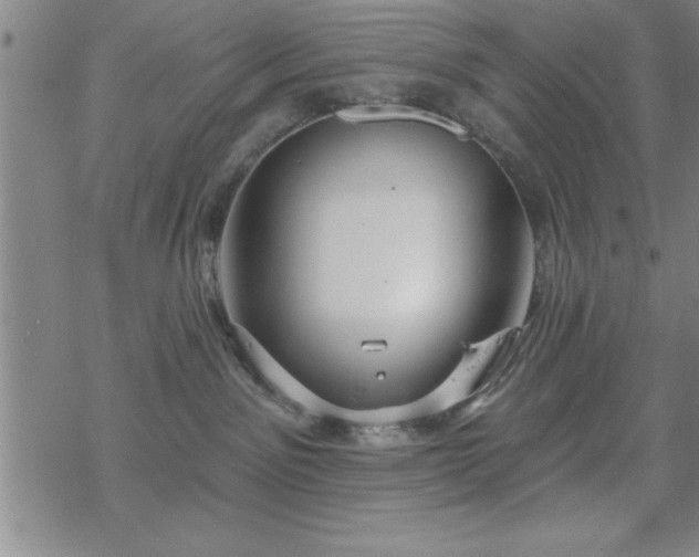 X0000069360141200605192108