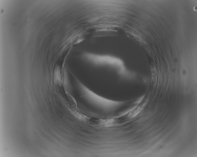 X0000069360143200605192107