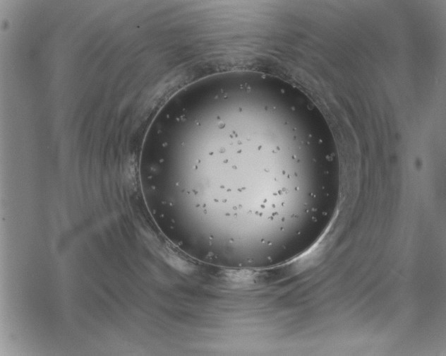 X0000069360144200605192107