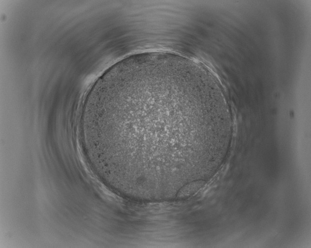 X0000069360145200605192107