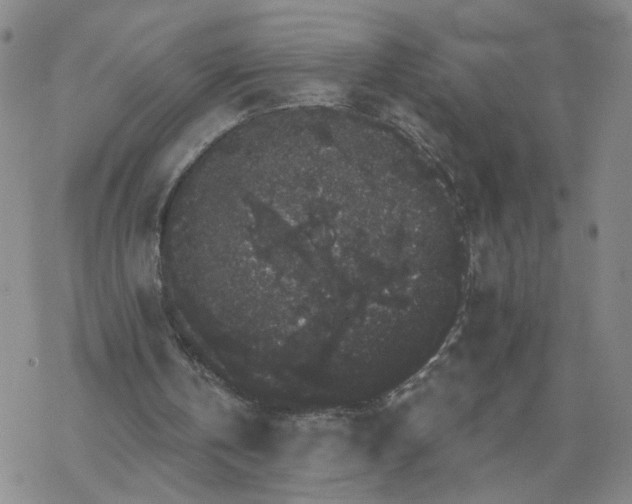 X0000069360146200605192107