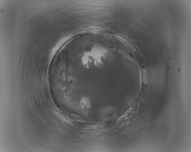 X0000069360147200605192107