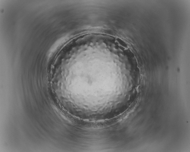 X0000069360149200605192107