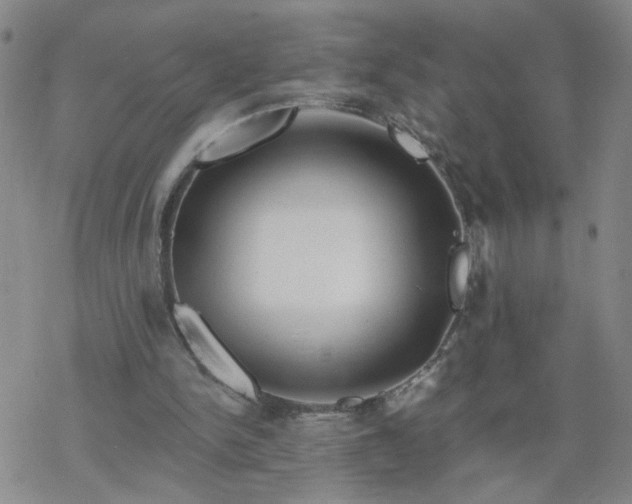 X0000069360150200605192107