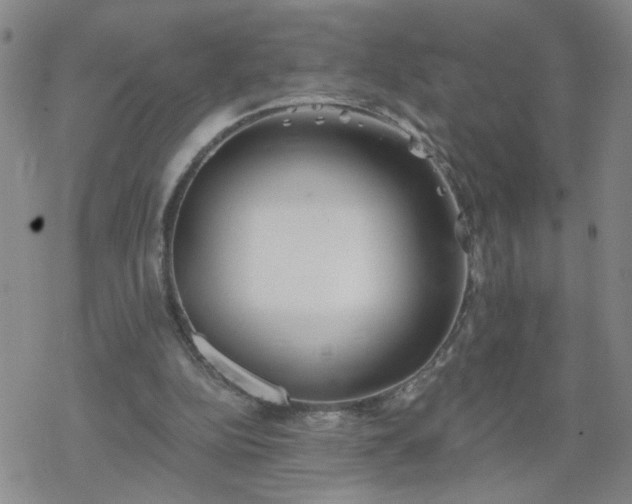 X0000069360152200605192107