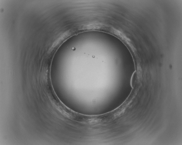 X0000069360153200605192107