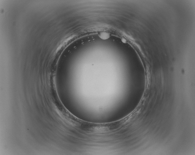 X0000069360154200605192107