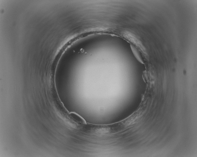 X0000069360156200605192107