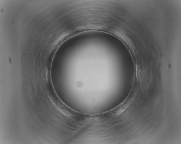 X0000069360157200605192107