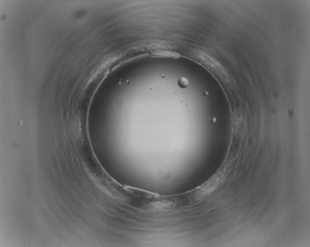 X0000069360158200605192107