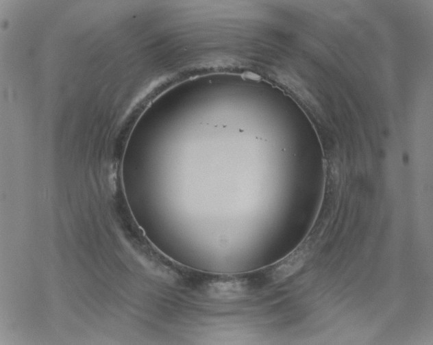 X0000069360160200605192107