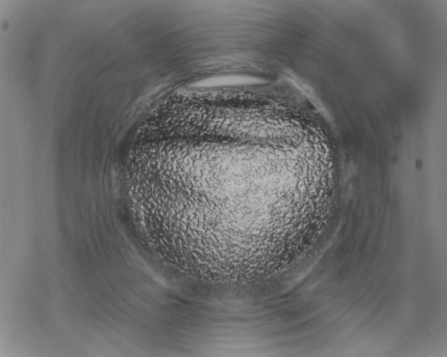 X0000069360161200605192107