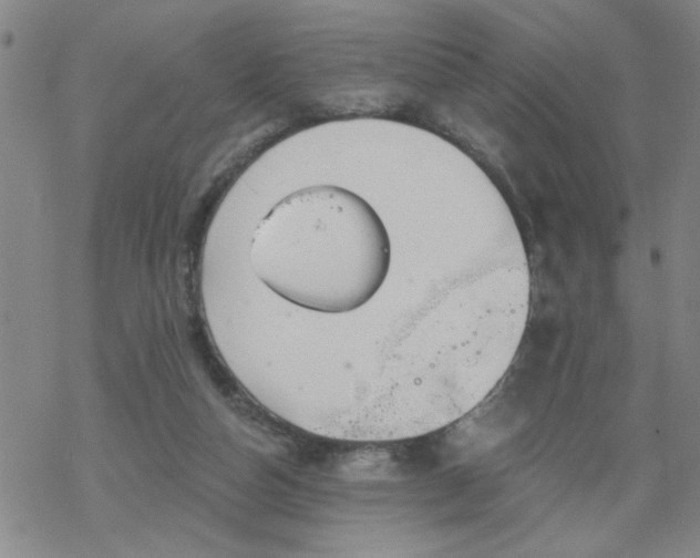 X0000069360162200605192107