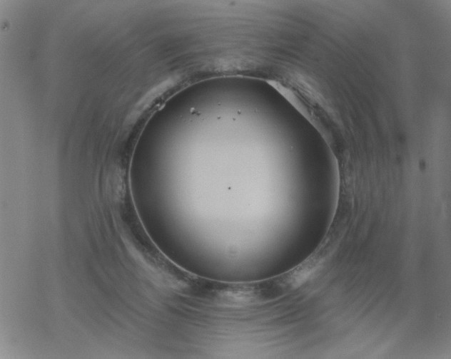 X0000069360164200605192107