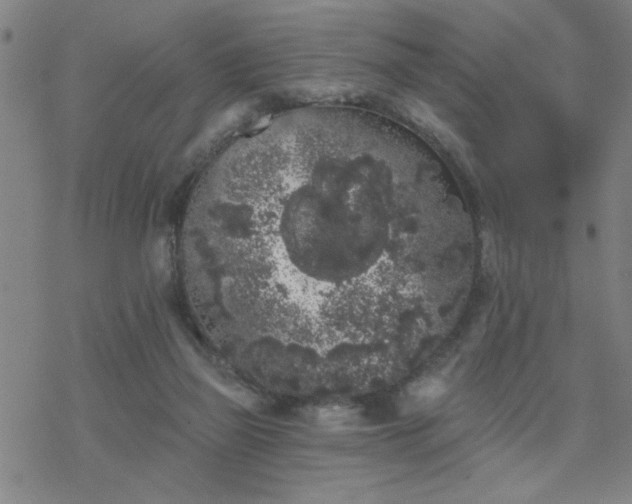 X0000069360165200605192107