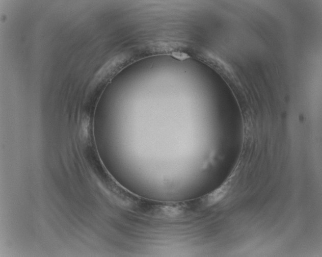 X0000069360166200605192107