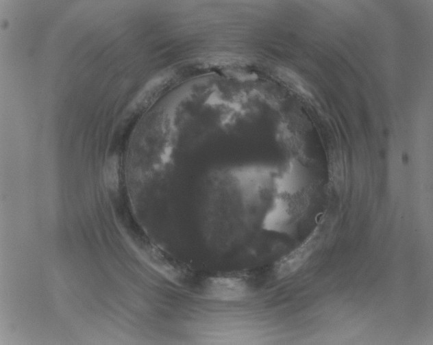 X0000069360167200605192107