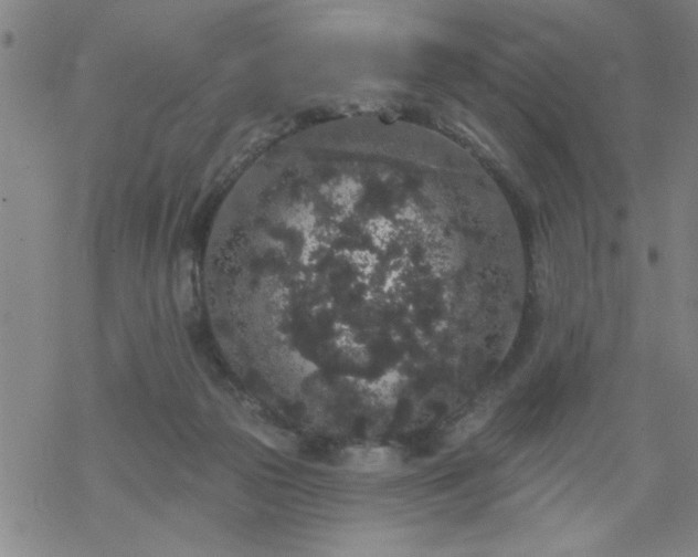 X0000069360169200605192107