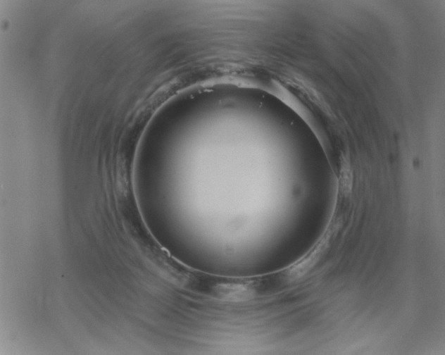 X0000069360170200605192107