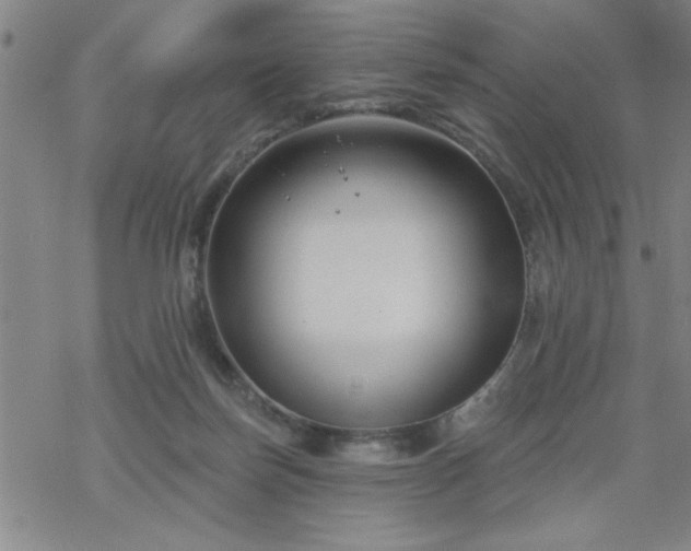 X0000069360171200605192107