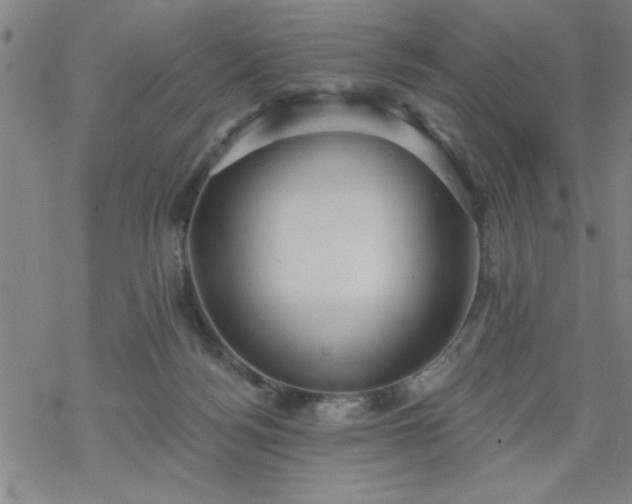 X0000069360172200605192107