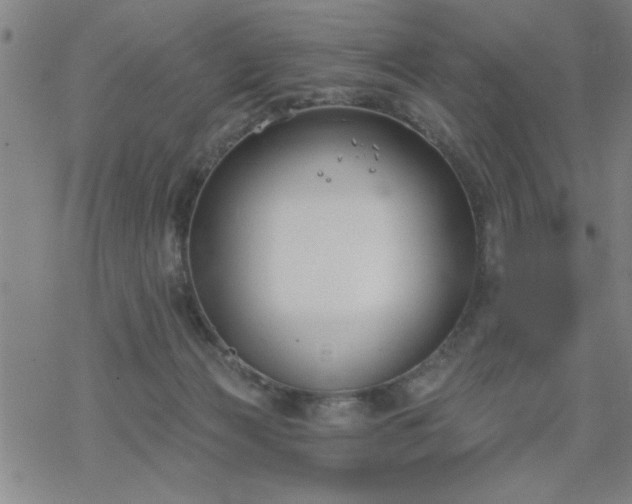 X0000069360173200605192107