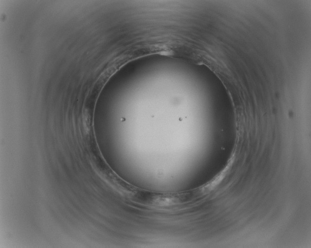 X0000069360174200605192107