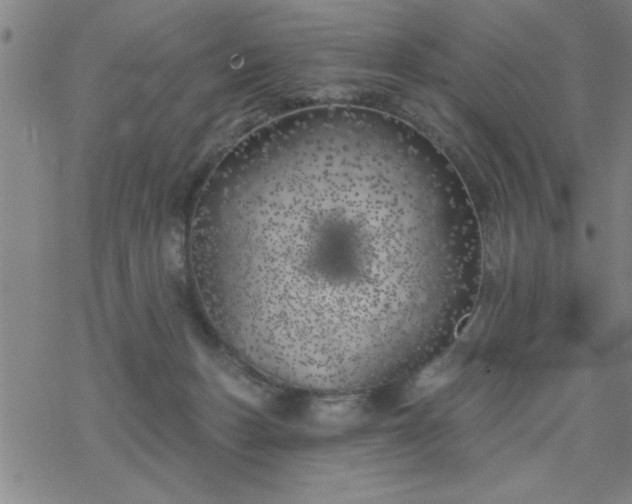 X0000069360175200605192107