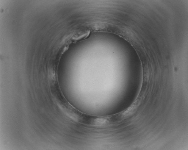 X0000069360176200605192107