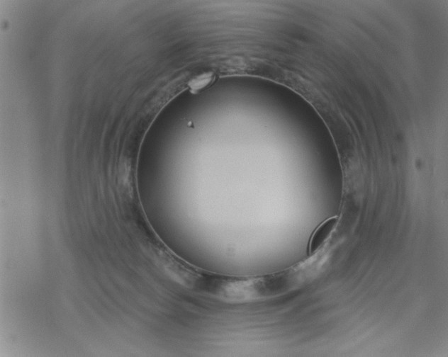 X0000069360178200605192107