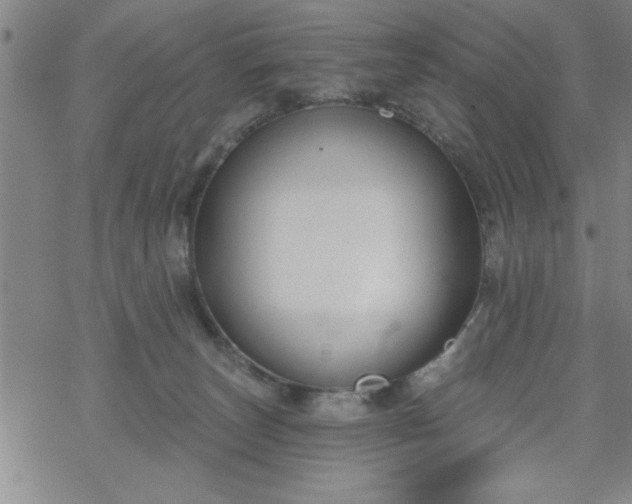 X0000069360179200605192107