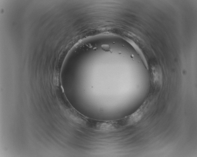 X0000069360180200605192107