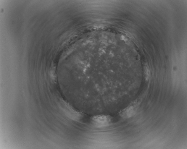 X0000069360181200605192107