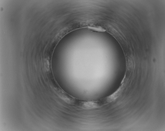 X0000069360183200605192107