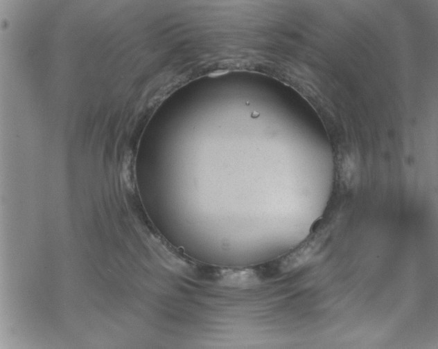 X0000069360185200605192107