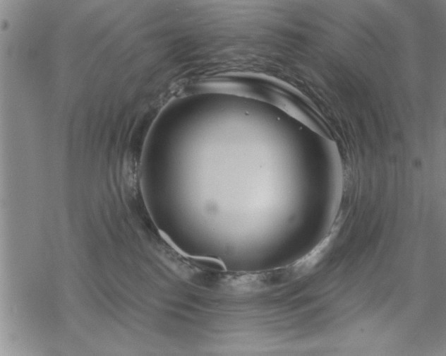 X0000069360186200605192107