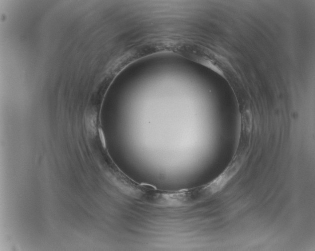 X0000069360188200605192107