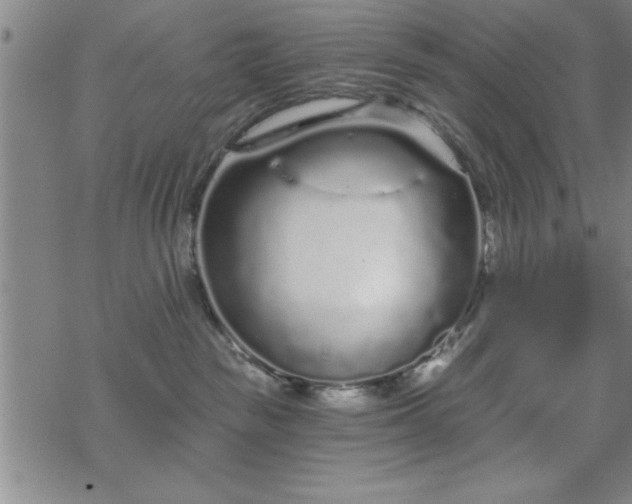 X0000069360189200605192107